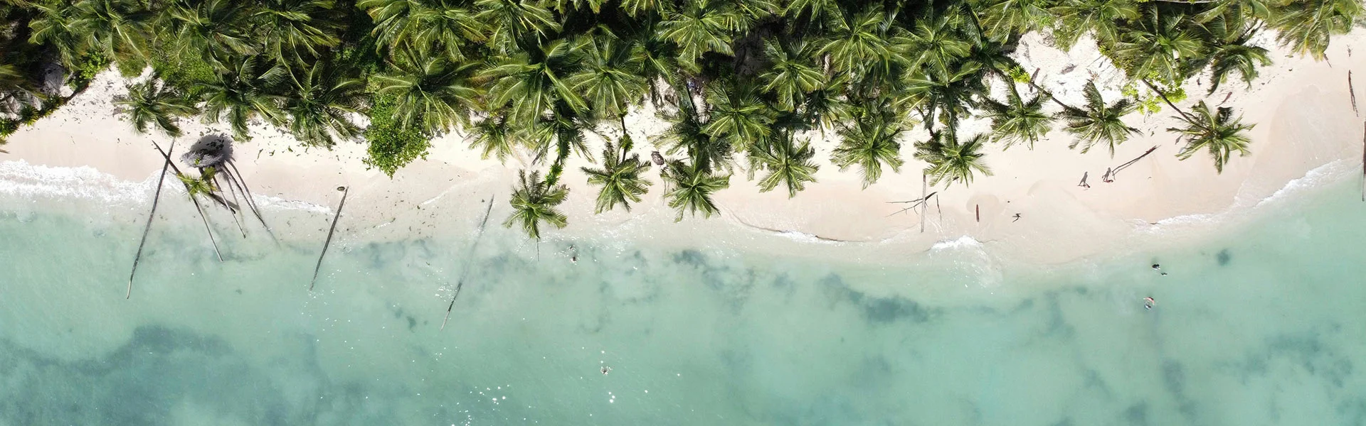 Last Minute Panama