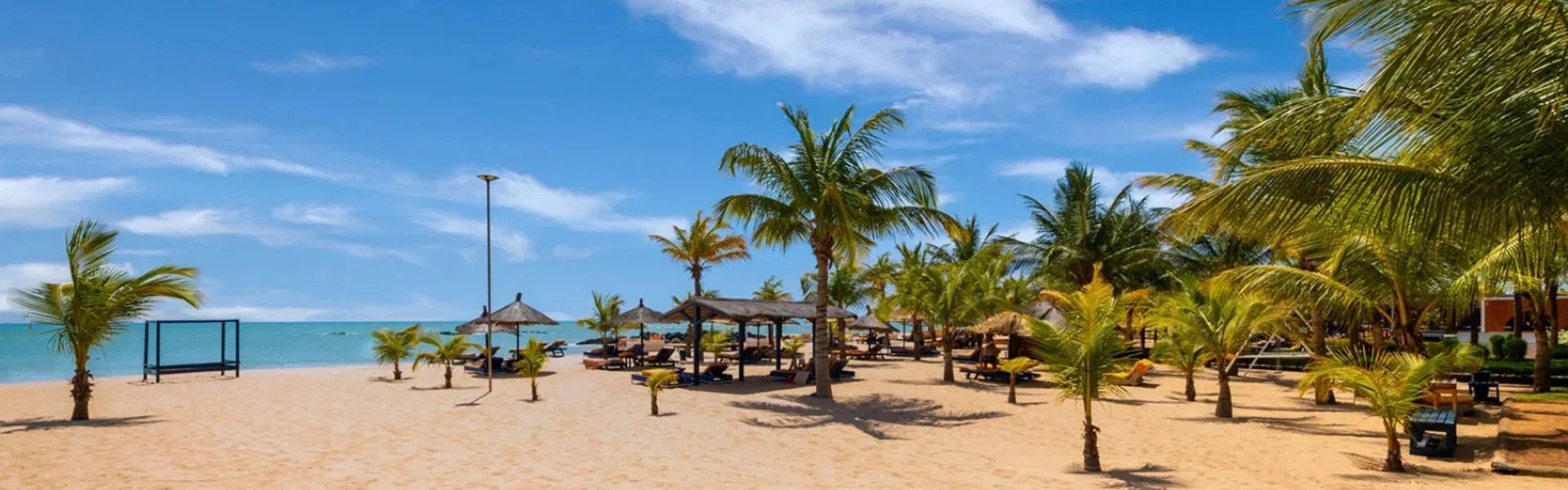 Saly