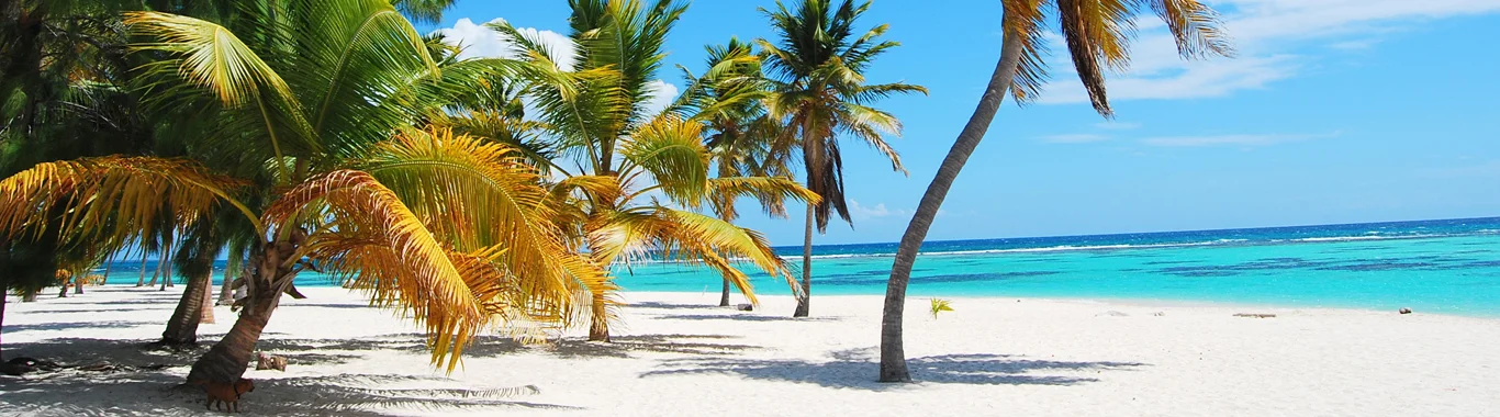 Last Minute Cuba